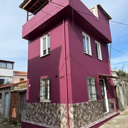 Liva Macaron Evi Apartman